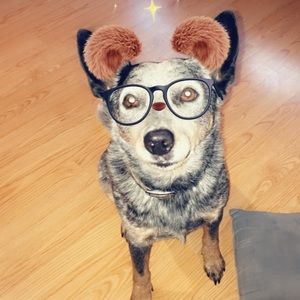 Meet your Posher, James